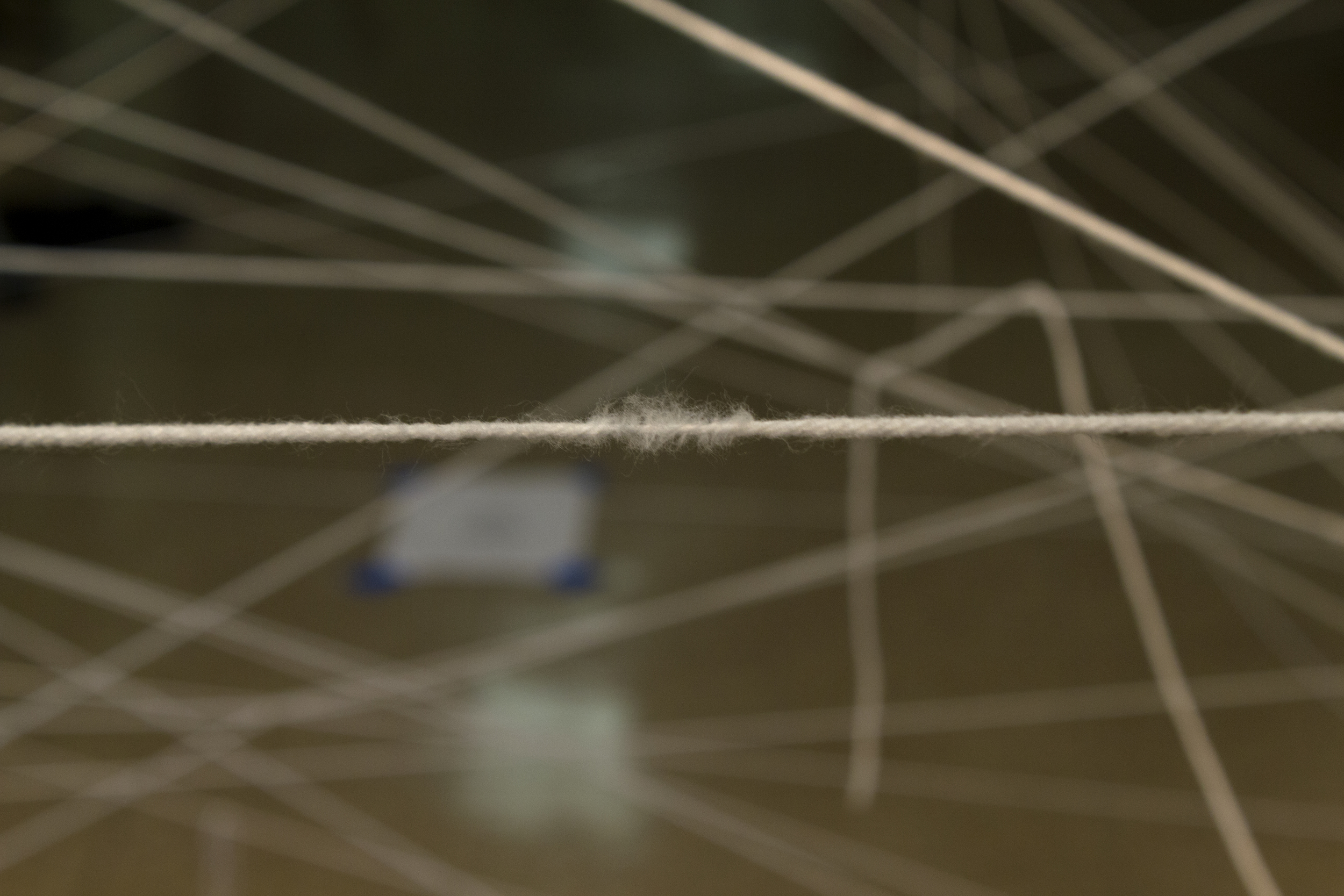 _MG_0138 copy copy.jpg