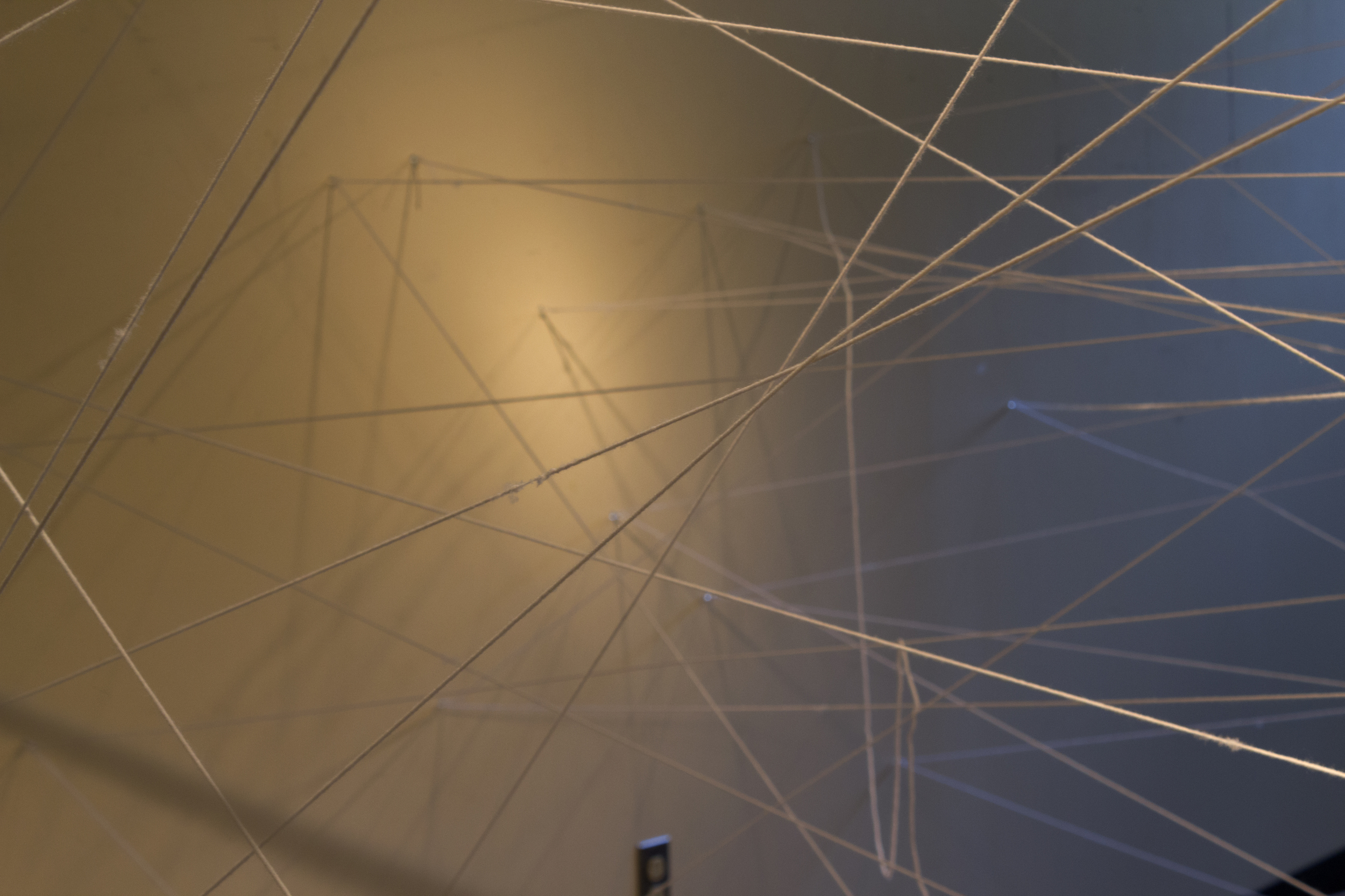 _MG_0150 copy copy.jpg