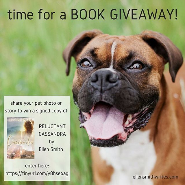 My 1st novel, #ReluctantCassandra , was published 3 years ago today! I&rsquo;m celebrating over on the #blog with a fun #bookgiveaway 🎉 More details at https://tinyurl.com/y8hse6ag

#twitter