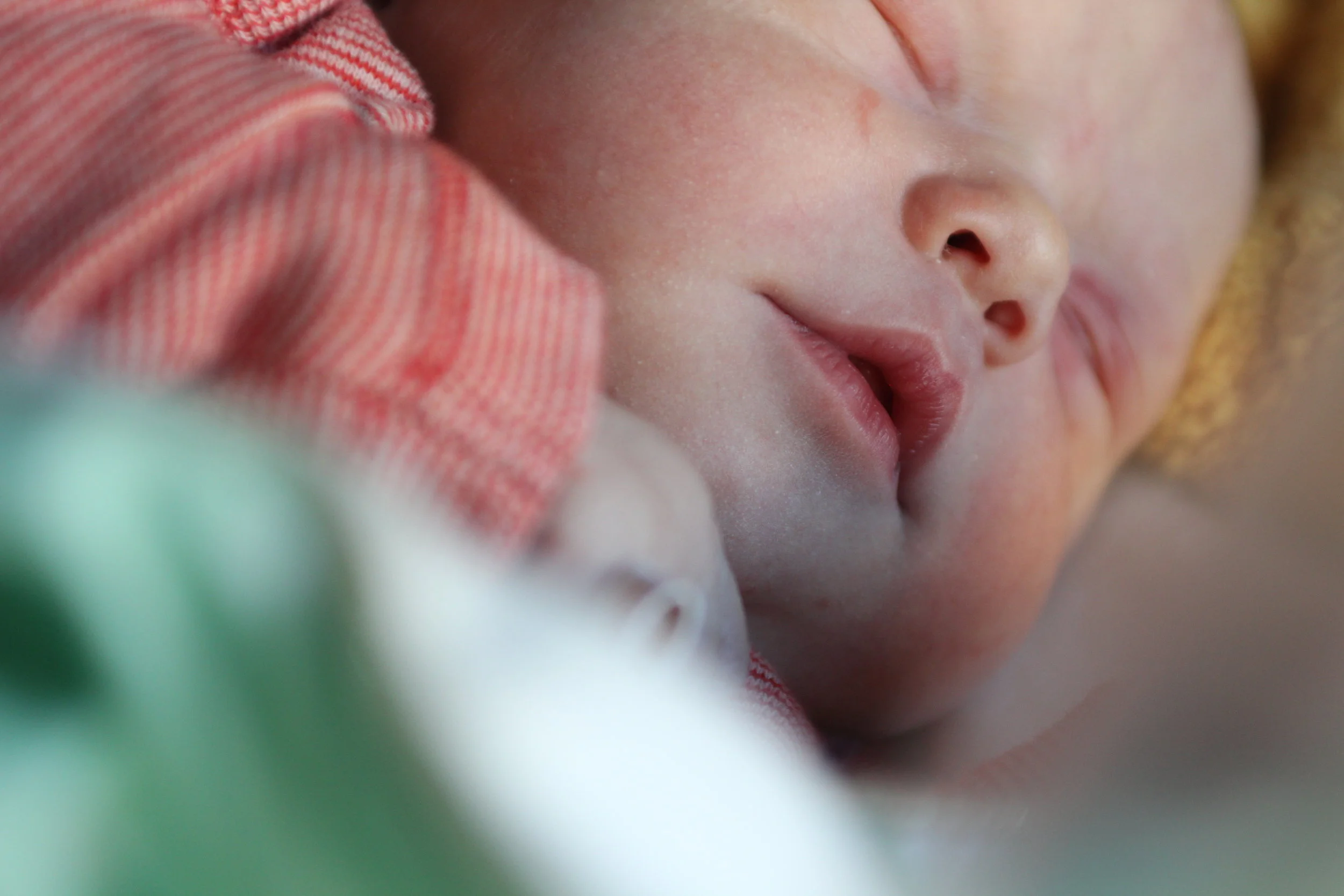 Baby’s aan de borst