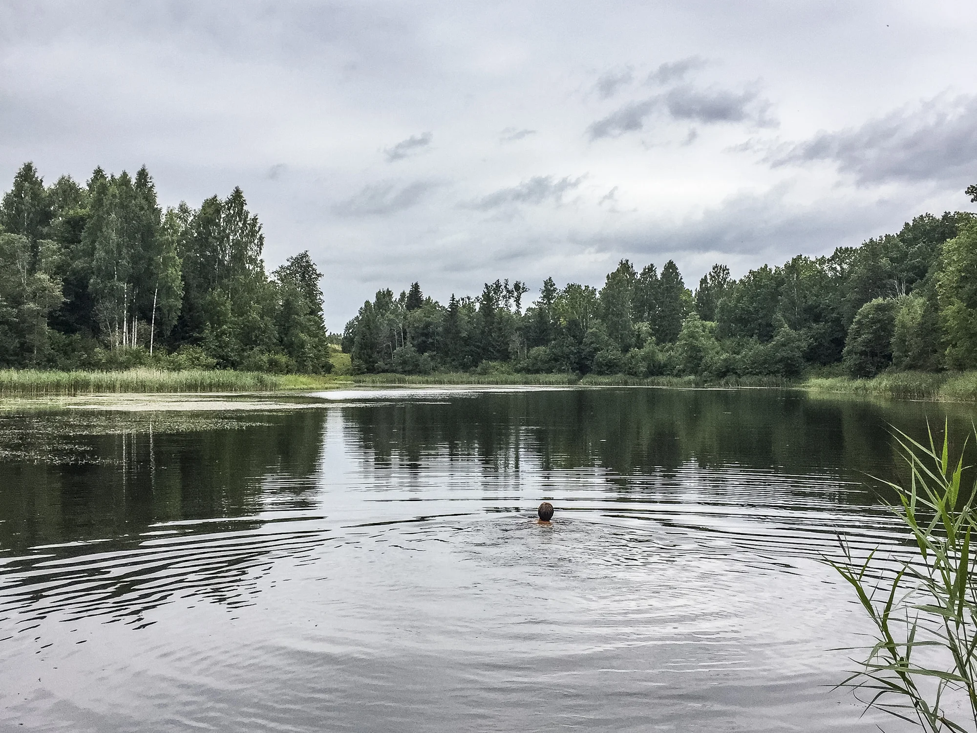 20170803-Letland.jpg