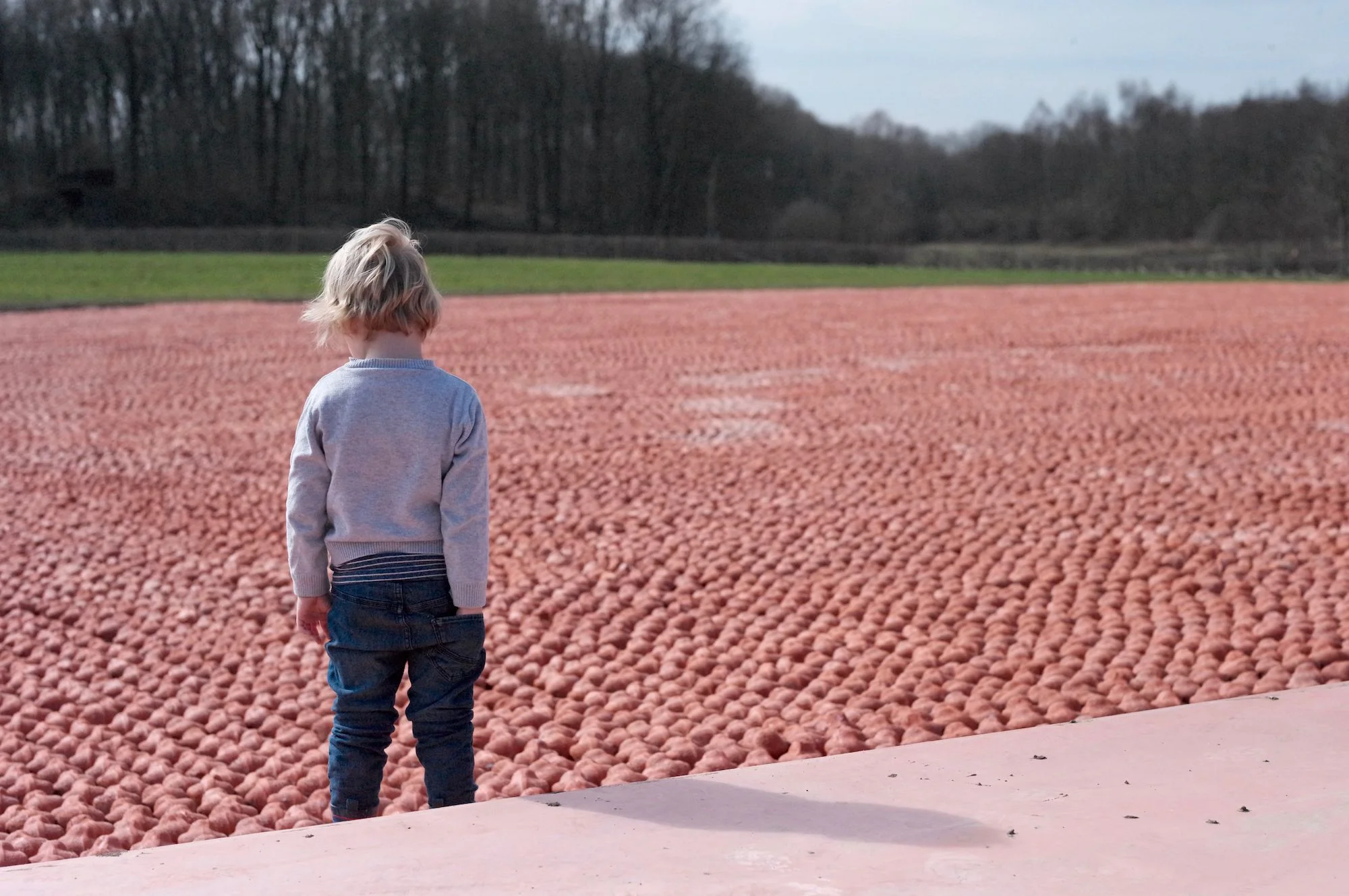  © Provincie West-Vlaanderen - Harold Naeye - Koen Vanmechelen