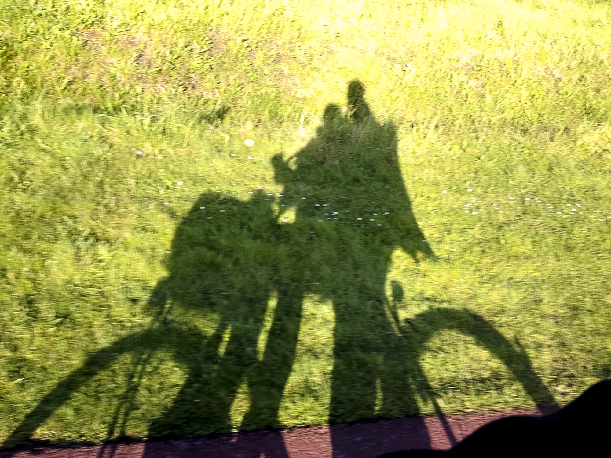 vaderklap fietsrit (1 of 2).jpg