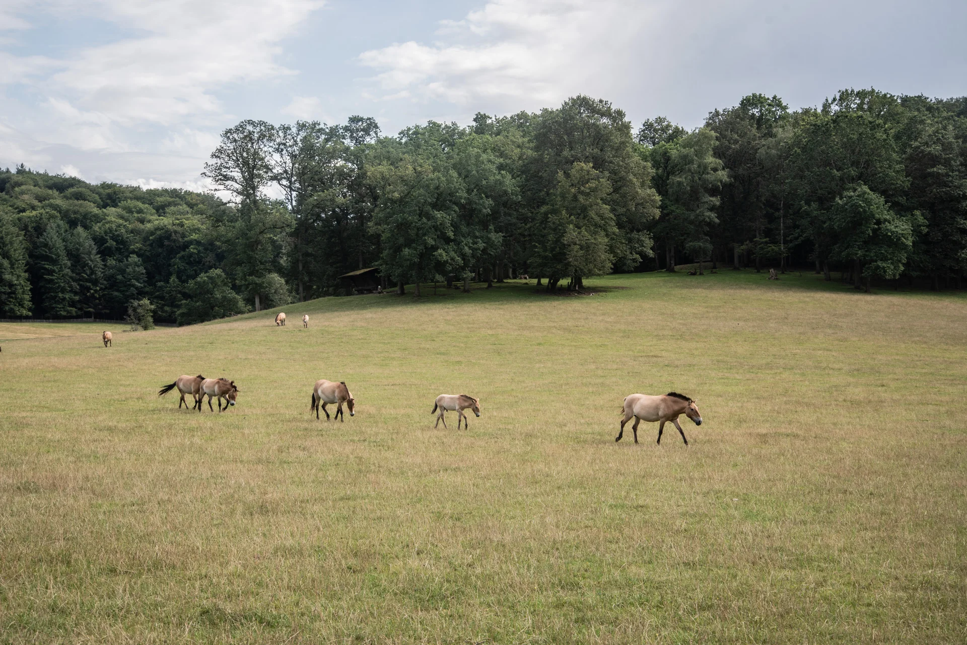 DSC_3506.jpg