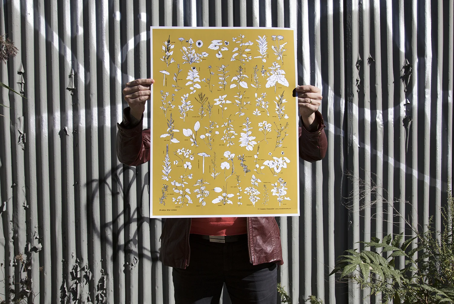 poster1-s.jpg
