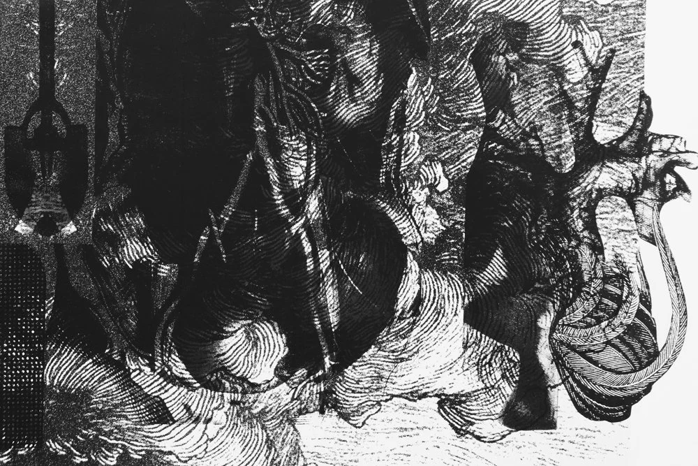 SS RCS Splash Horizontal (4 of 11).jpg