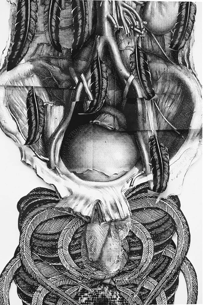 SS RCS Splash (1 of 18).jpg