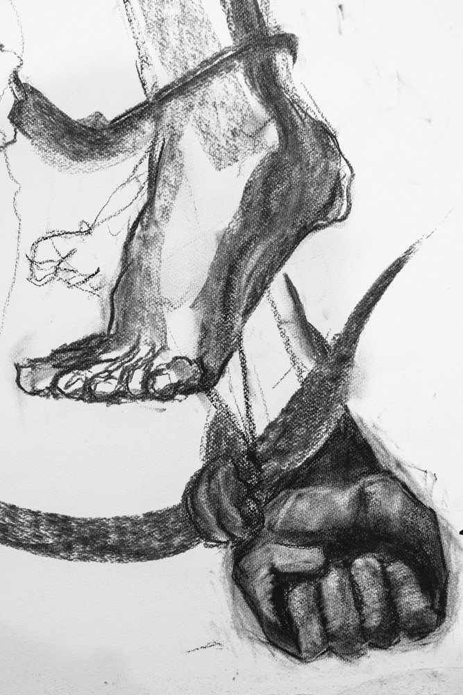 SS RCS Splash (18 of 18).jpg