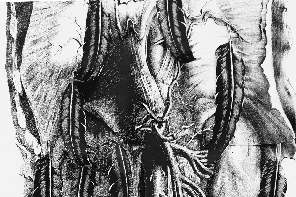 SS RCS Splash Horizontal (6 of 11).jpg