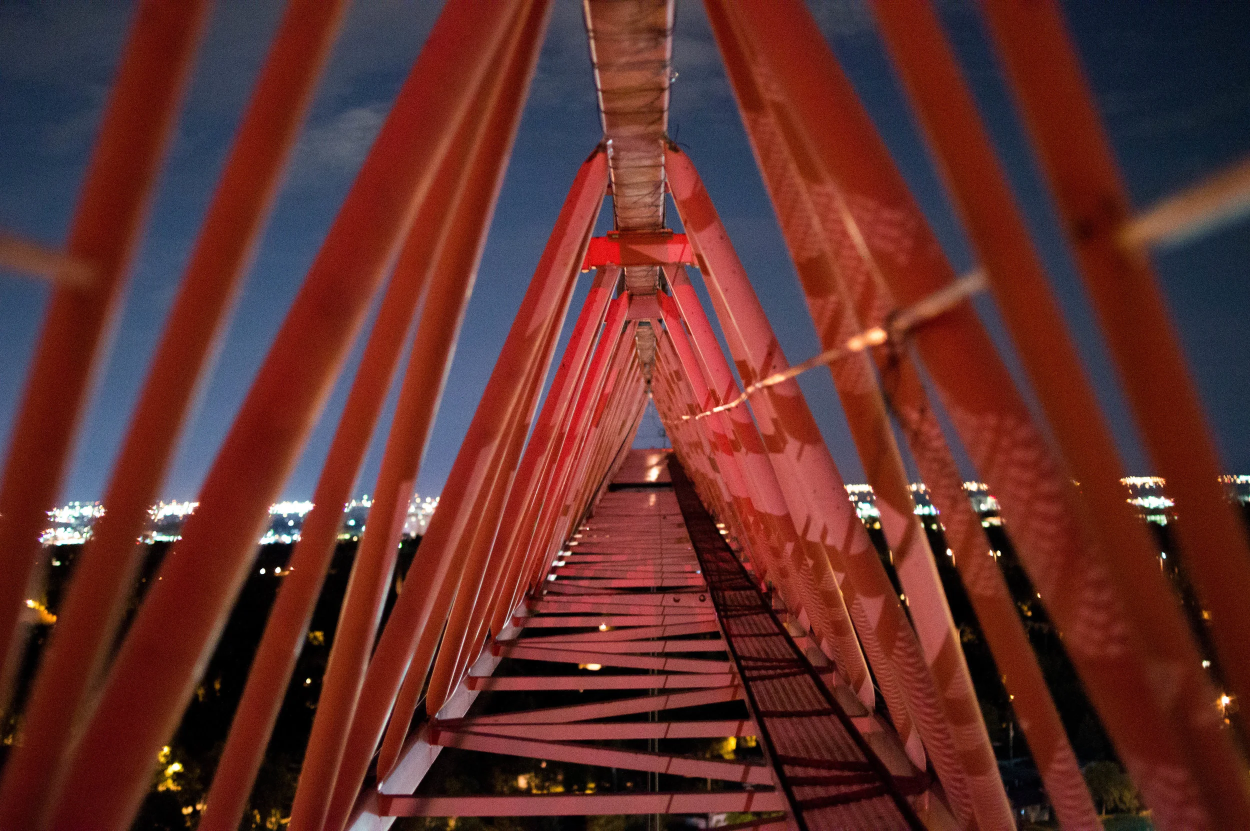 DSC_0050.jpg