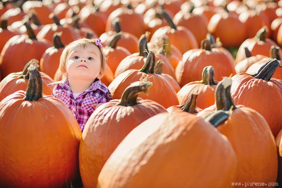 Pumpkin Patch Baby - Chaya is 1!