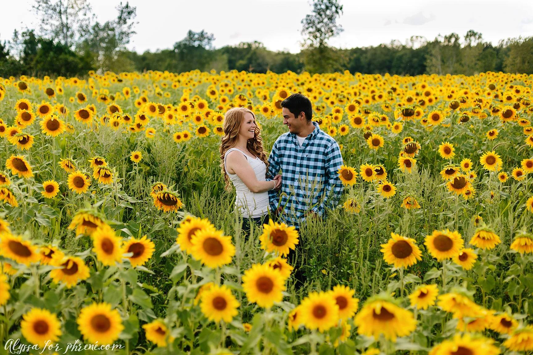Sunflower Engagement | Amy + Joel | Associate Alyssa