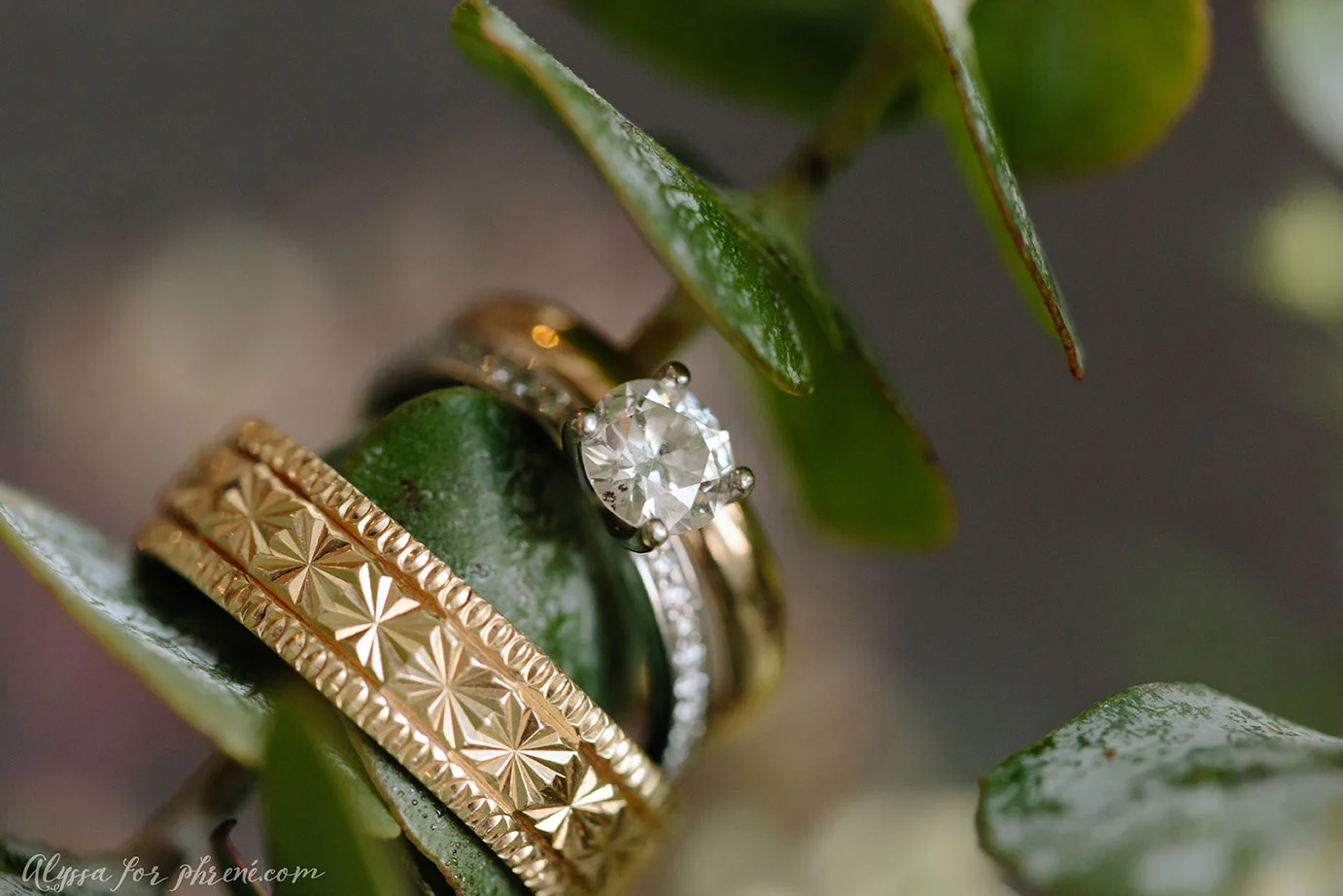 Bridge_Water_Place_Wedding_117.jpg