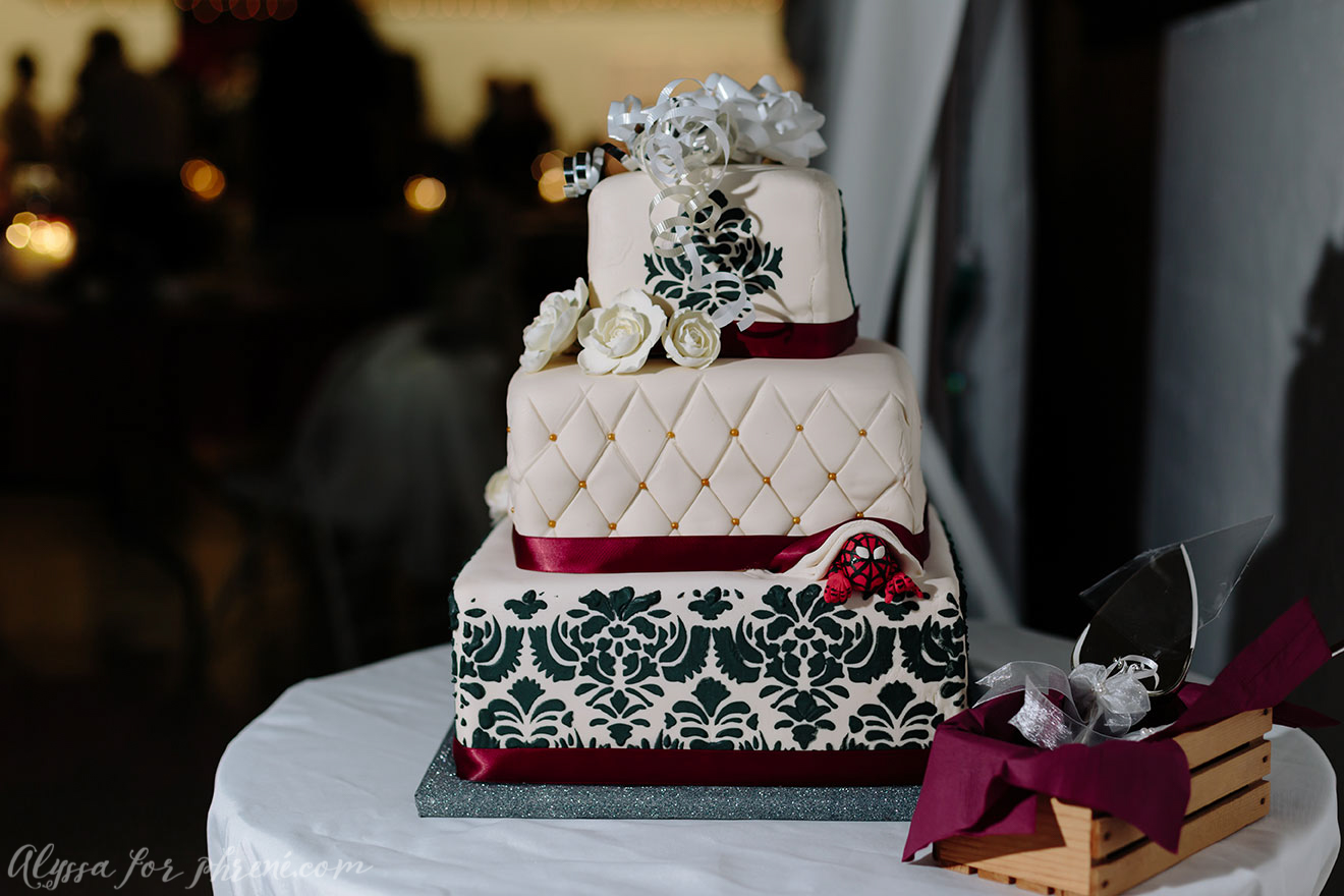 Allegan_Wedding_095.jpg