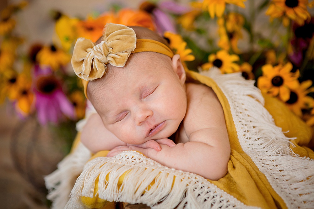 Grand_Rapids_Newborn_Photographer_002.jpg