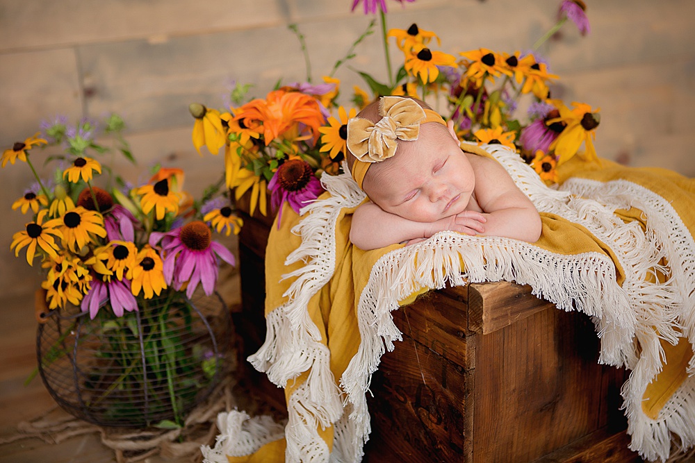 Grand_Rapids_Newborn_Photographer_001.jpg