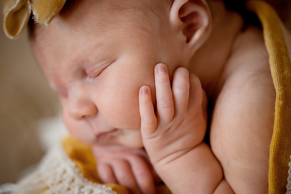 Grand_Rapids_Newborn_Photographer_006.jpg