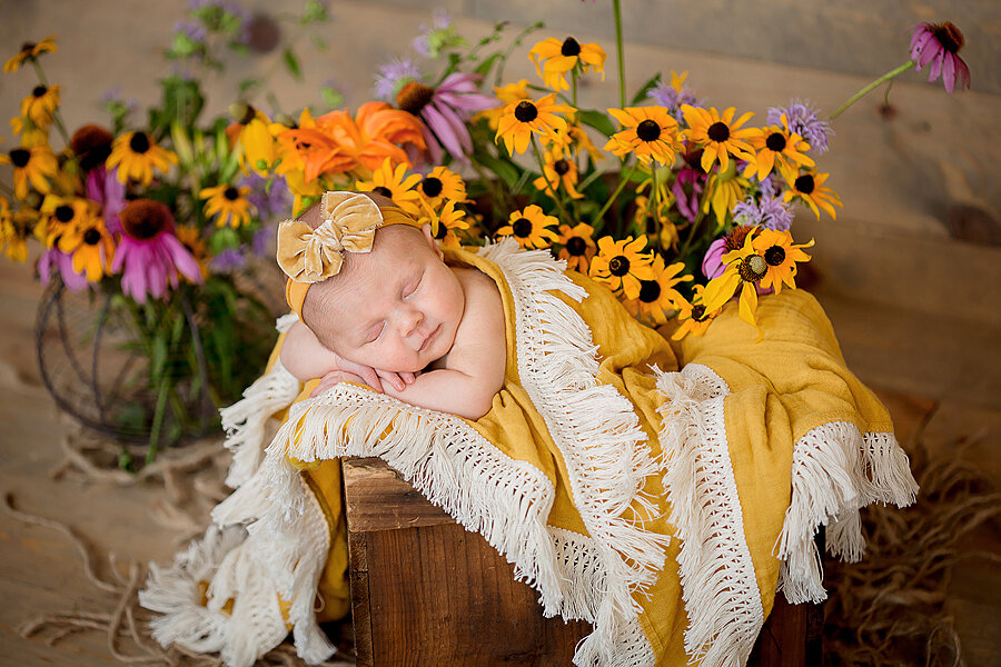 1wildflower-mustard-yellow-newborn-photography.jpg