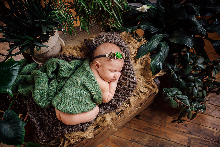 succulent-newborn-photography.jpg