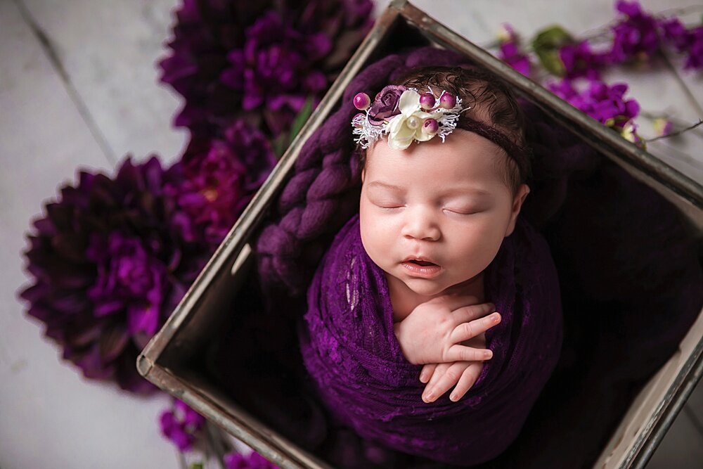 Grand_Rapids_Newborn_Photographer021.jpg