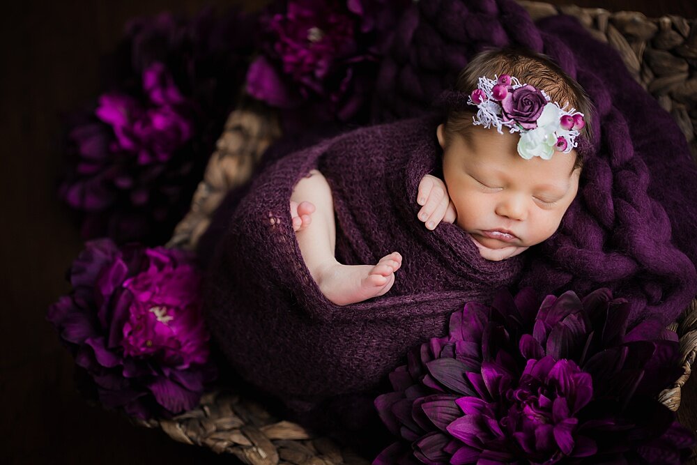 Grand_Rapids_Lifestyle_Newborn013.jpg
