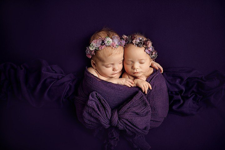 Beautiful twin girls Lyra &amp; Penelope 💜⁠
After a long stretch in the NICU these sweet little girls are finally home and thriving!⁠
.⁠
.⁠
.⁠
.⁠
.⁠
.⁠
.⁠
.⁠
.⁠
#grandrapidsnewbornphotographer⁠
#newborntwins⁠
#twingirls⁠
#grandrapidsphotostudio⁠
#gr