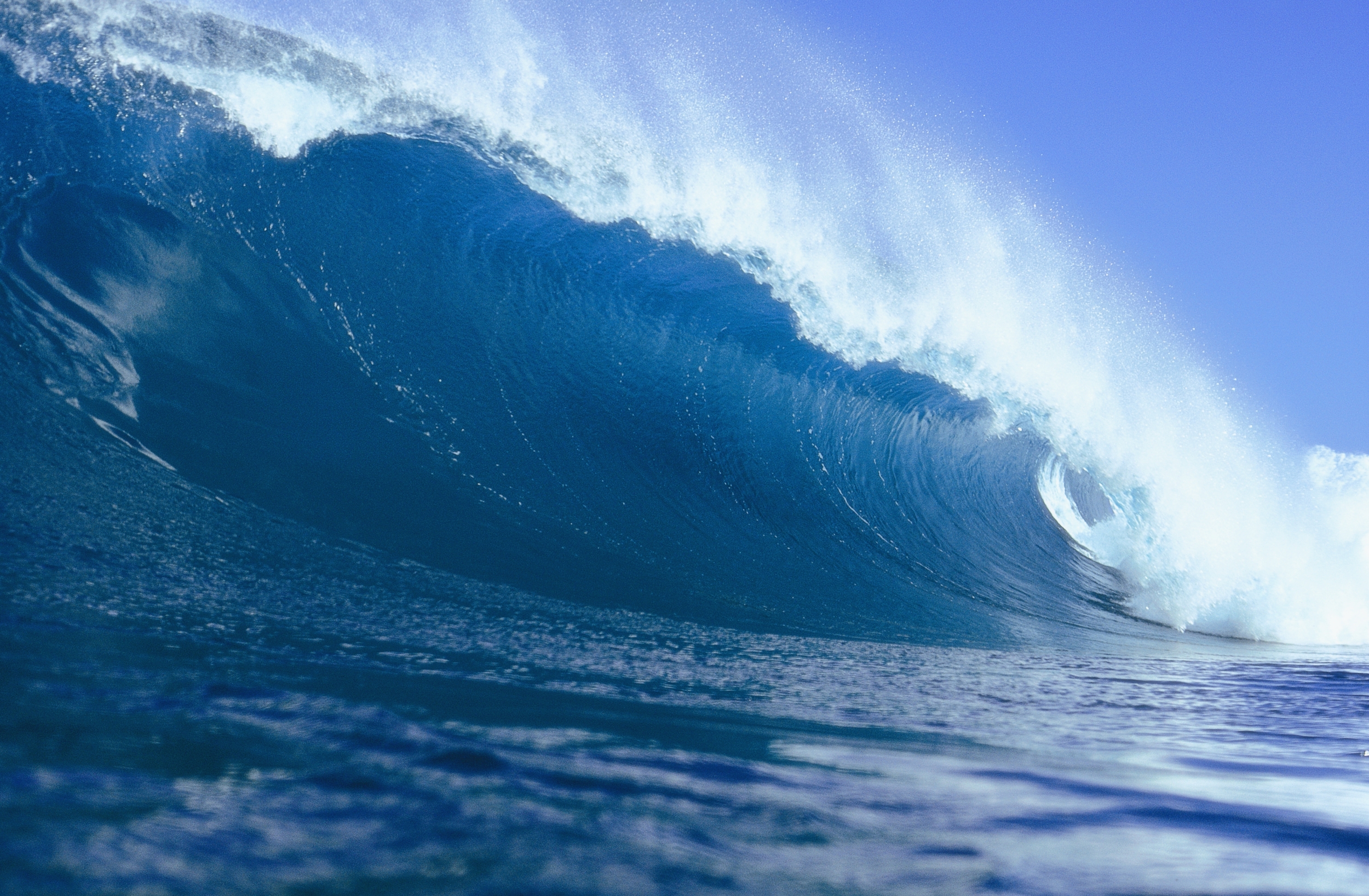 GettyImages_57436153 copy.jpg