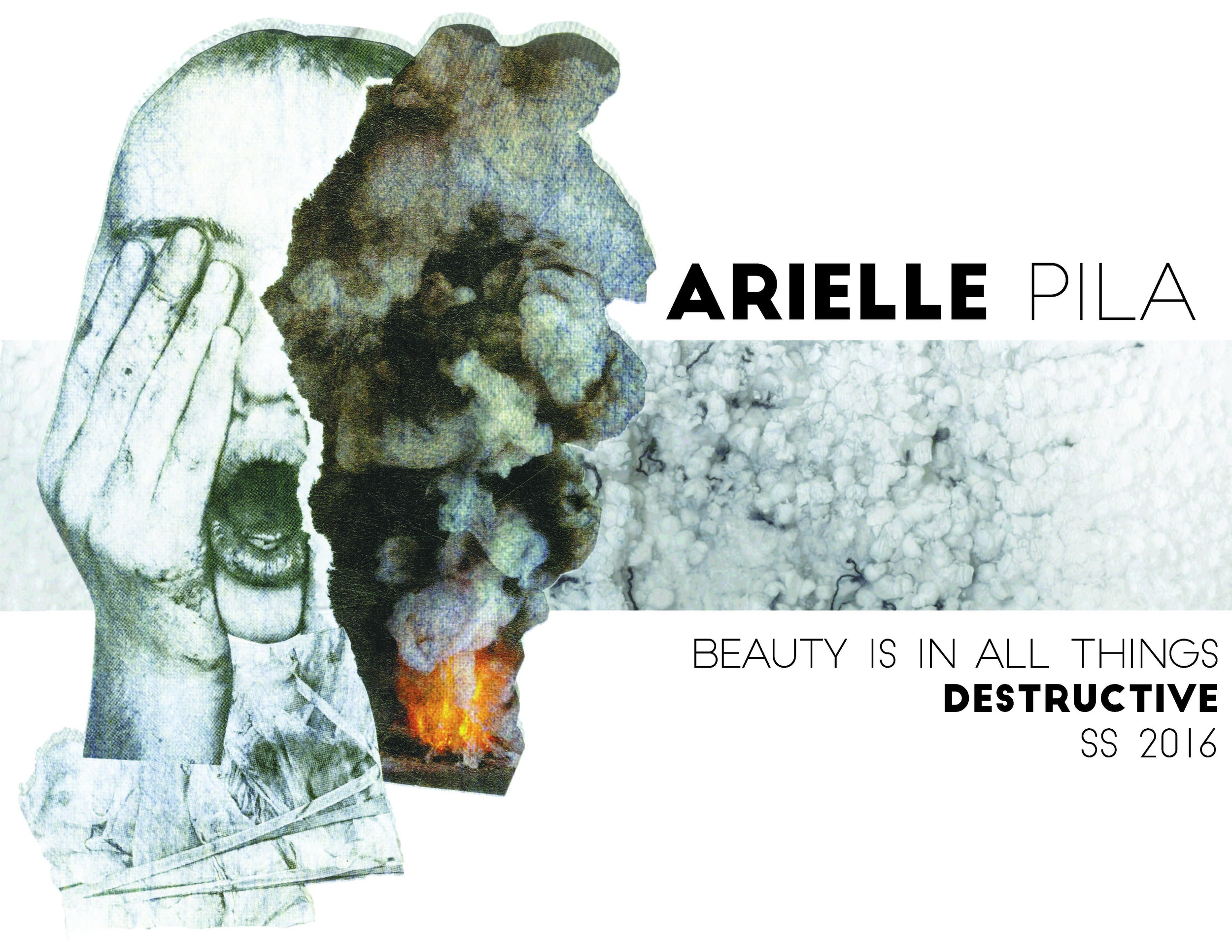 web project 3 destructive_Page_1.jpg