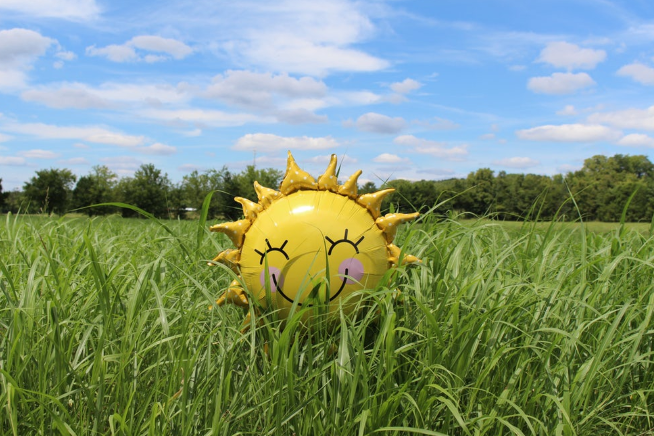 Thermodynamic Hot Water Systems and Solar Thermal Water Heating Systems