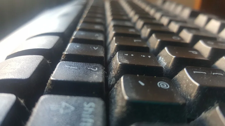 NETFACE COVER.jpg