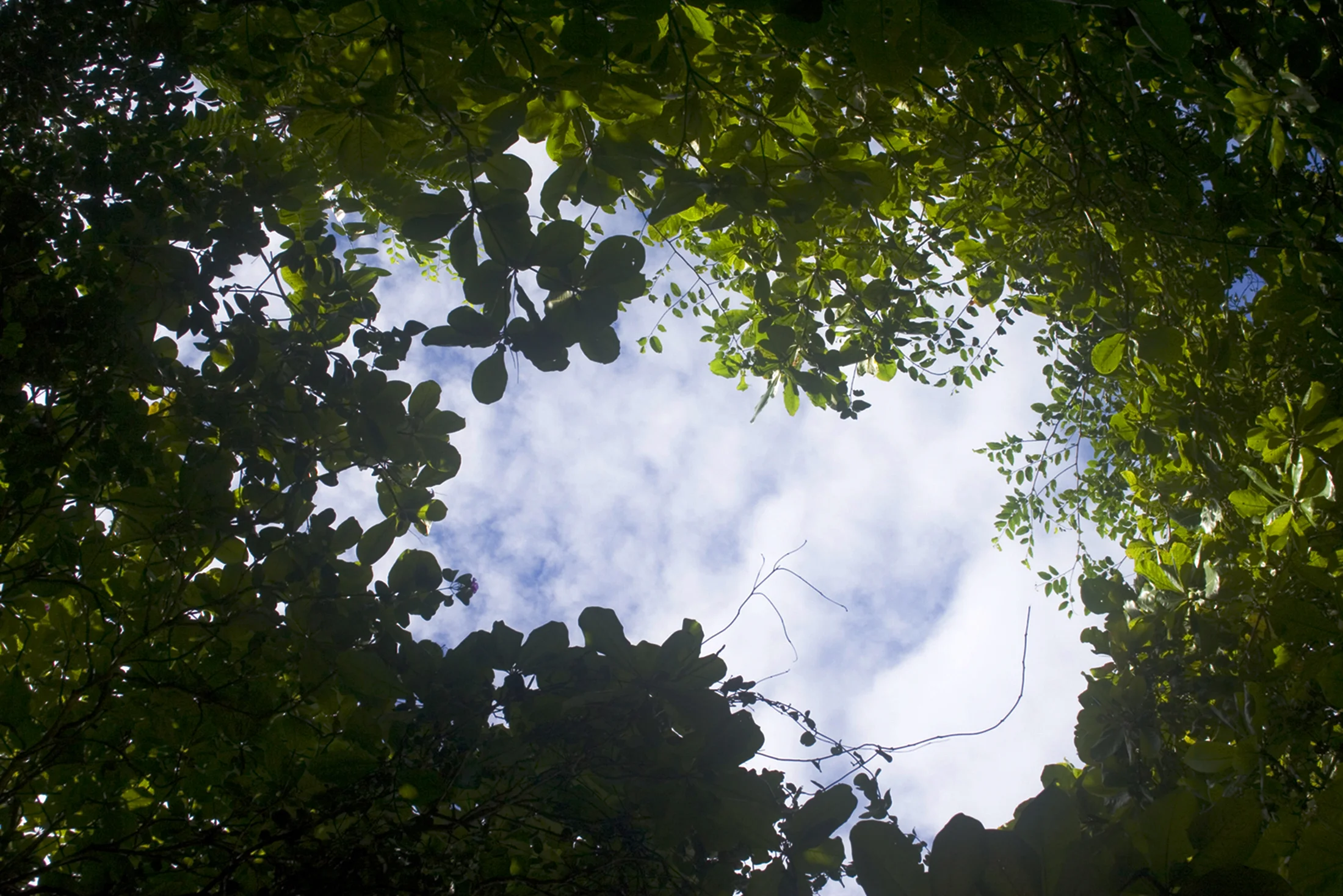 Skylight © Julia Swanson, 2008