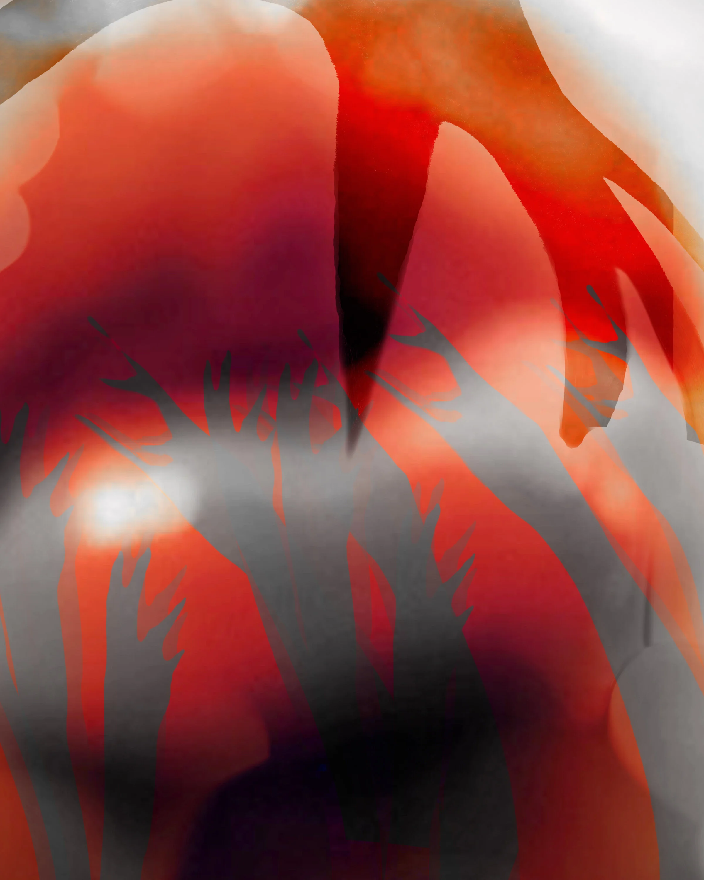 Fruit Abstract, No 6