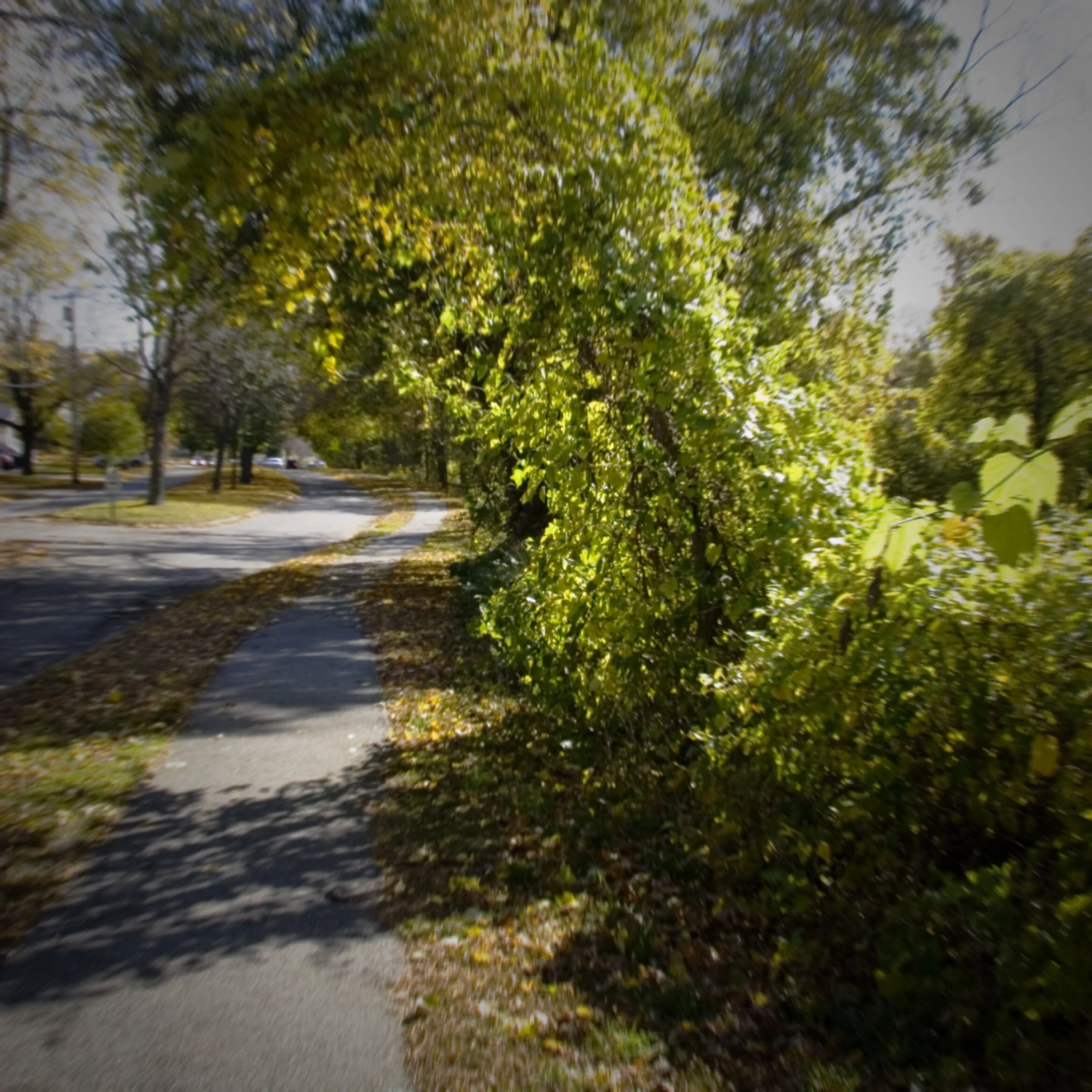 Wandering Down the Road to Nowhere. Untitled 3
