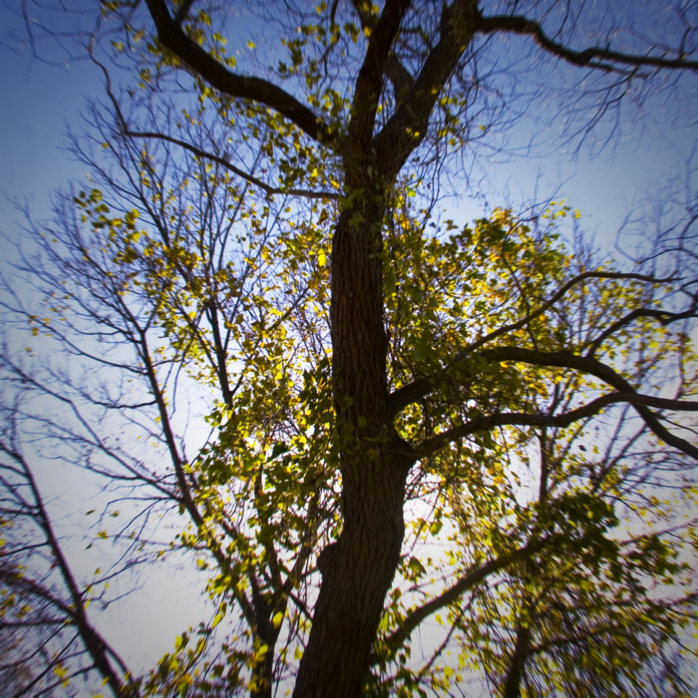 Wandering Down the Road to Nowhere. Untitled 6