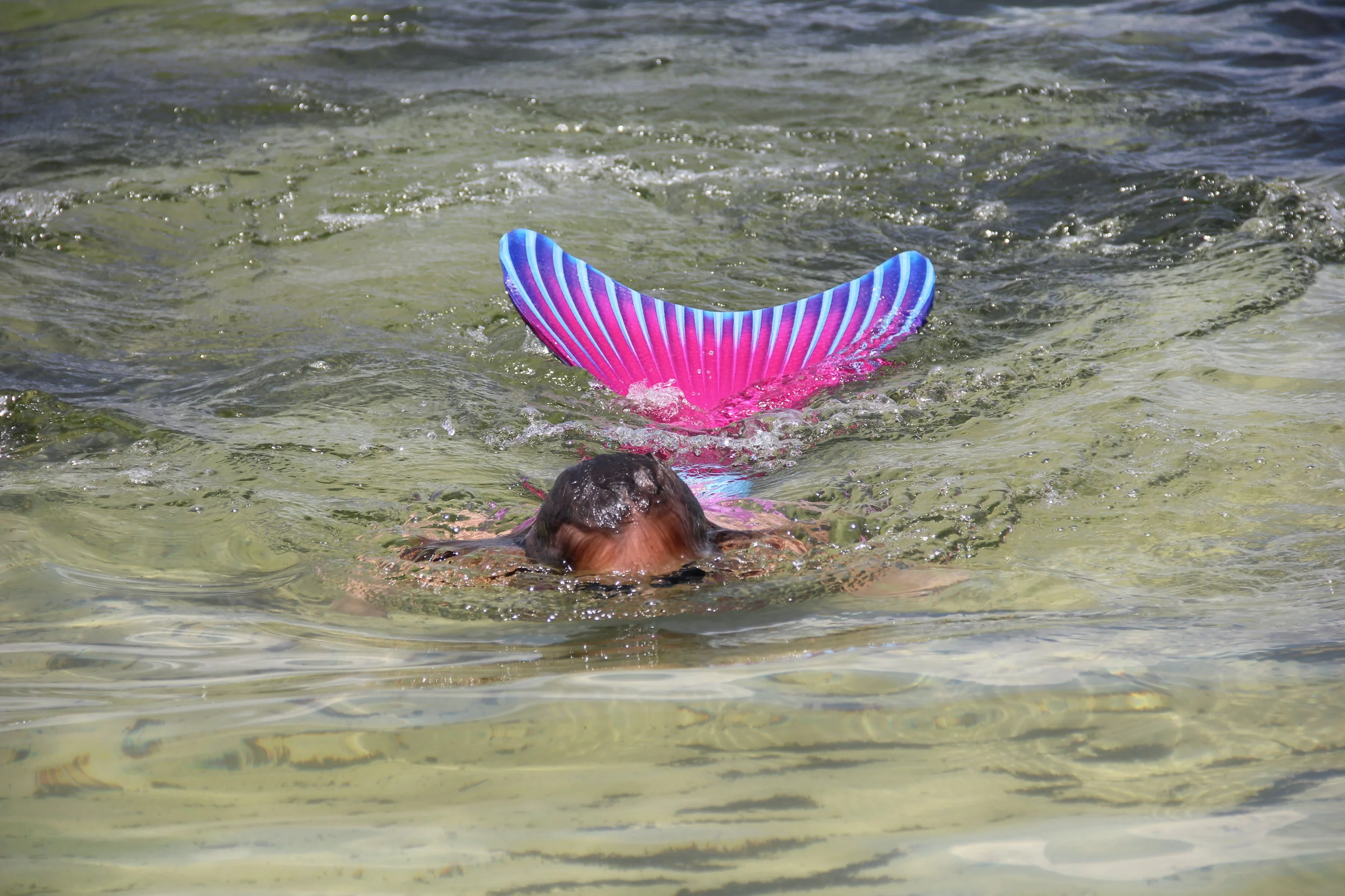 It's a bird, it's a plane, it's ...