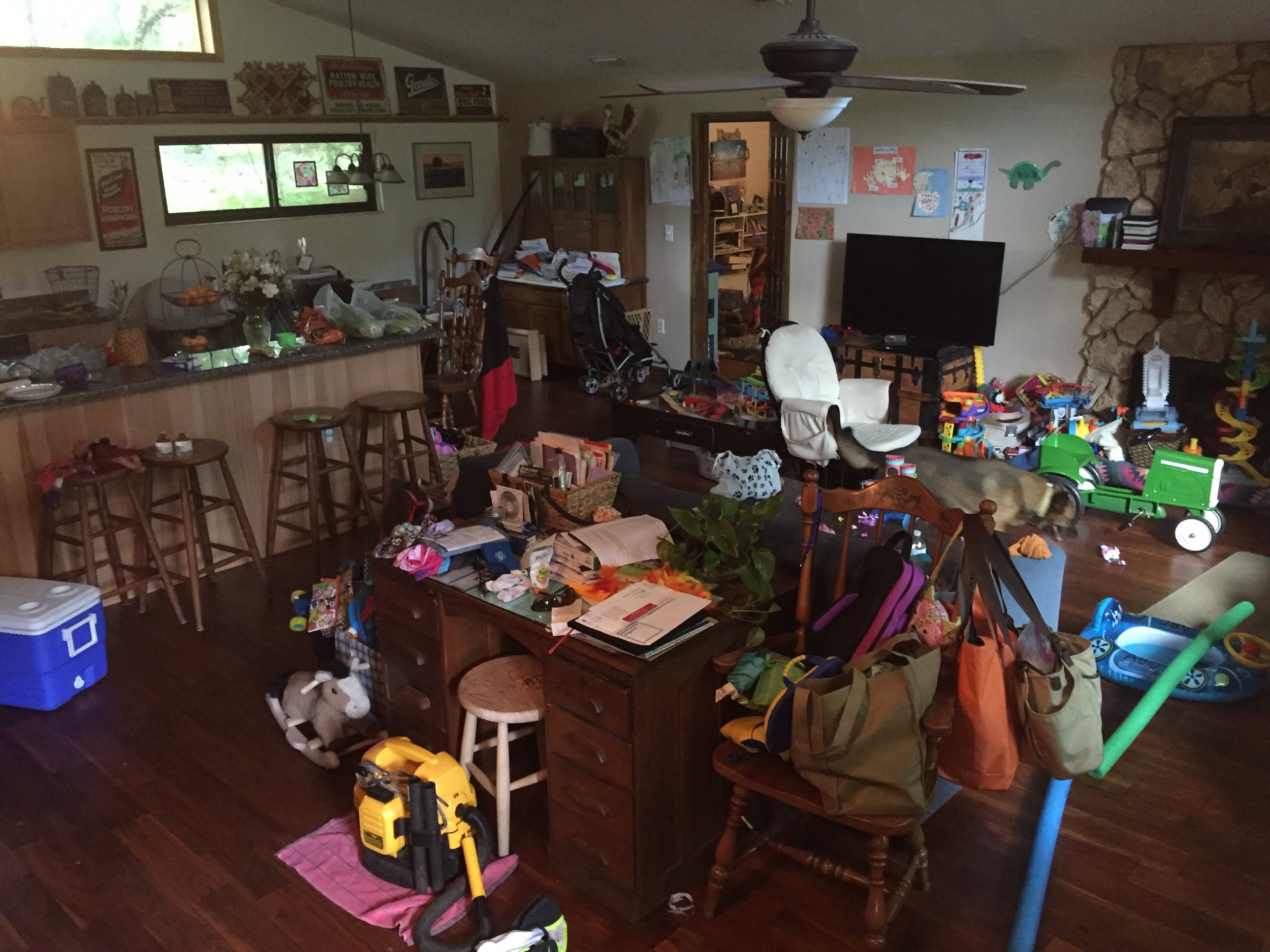 Sometimes the house looks like this!