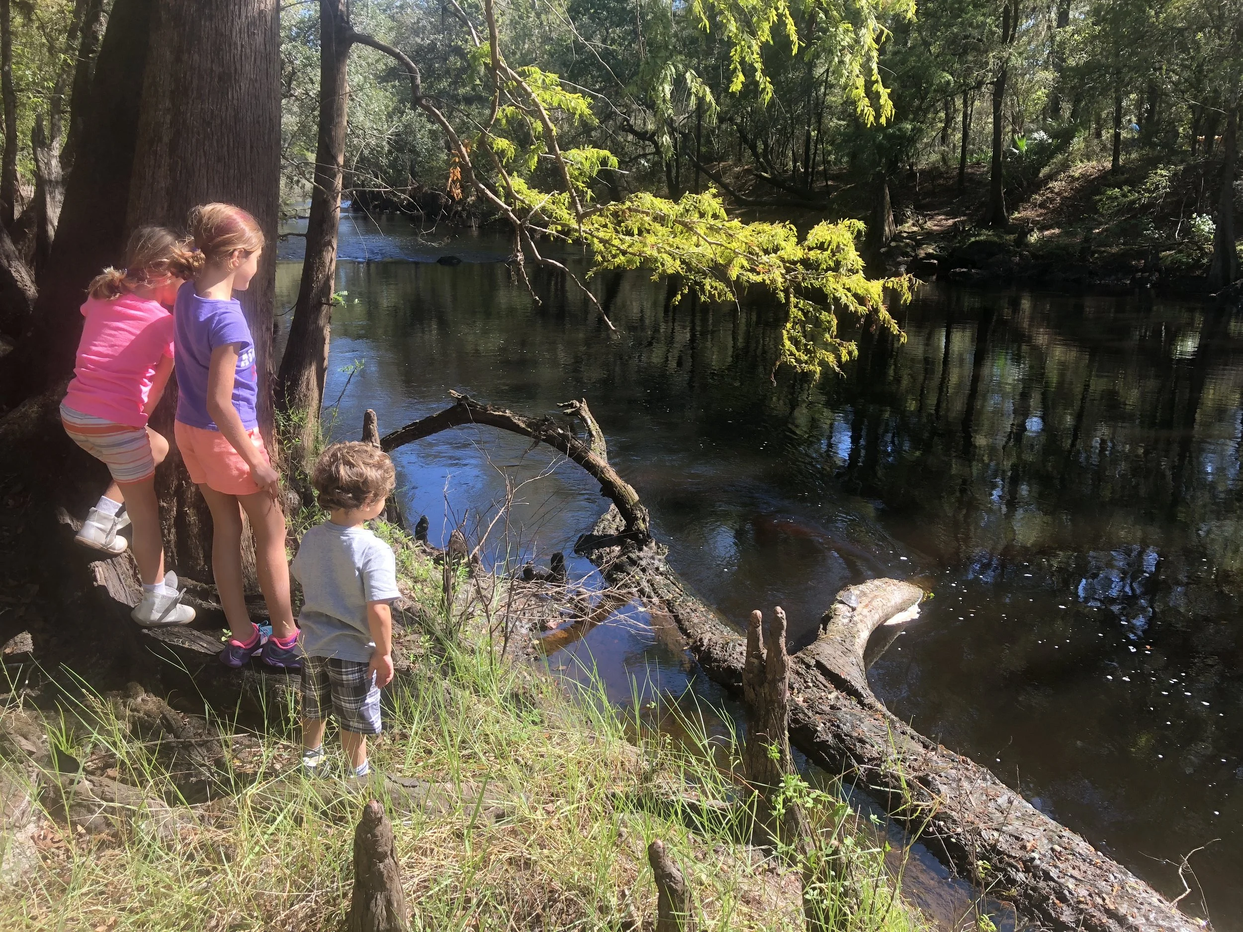 Fall Is Finally Here!