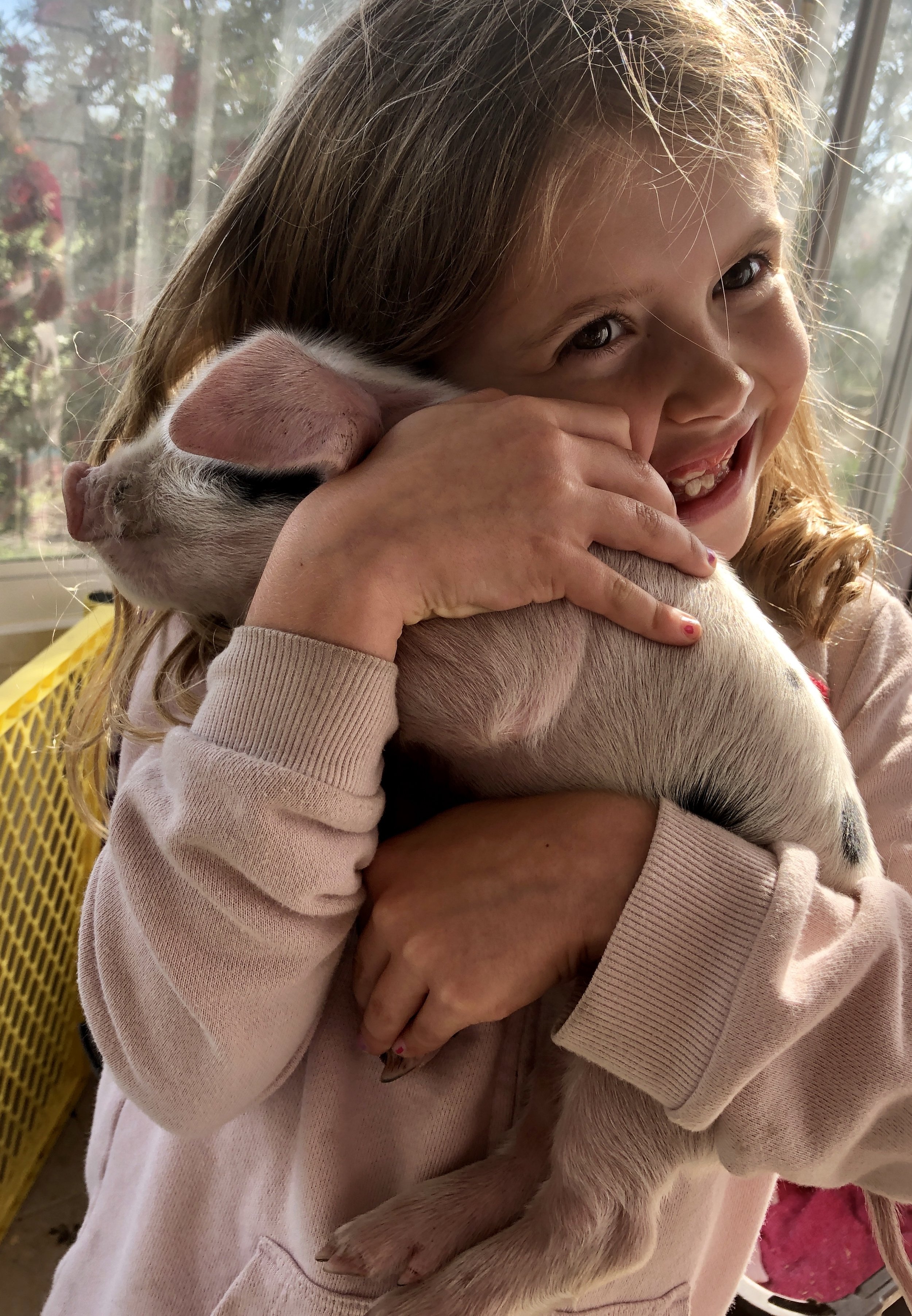 Just a girl who really loves pigs ❤️😊❤️