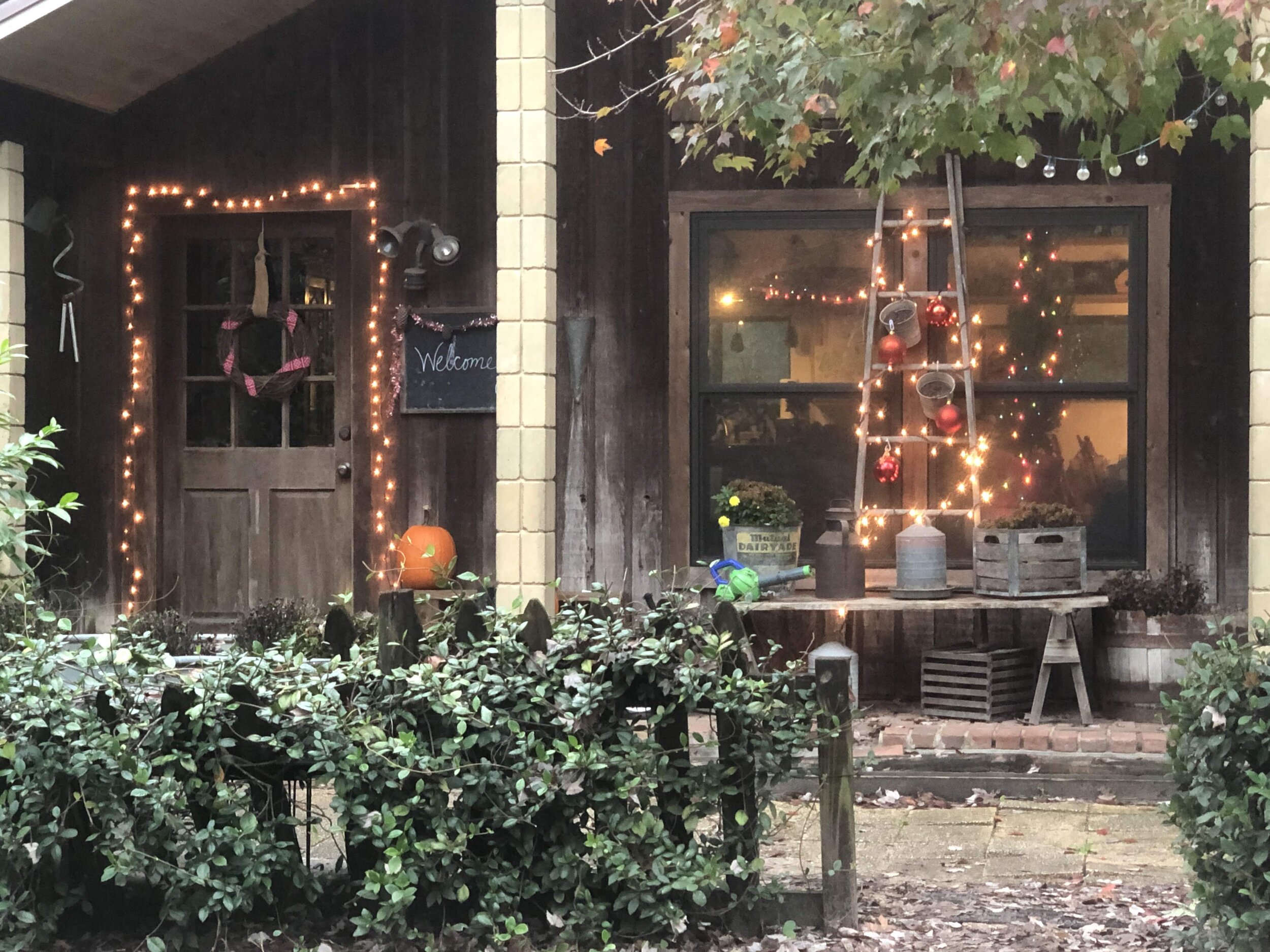 The Holiday Whirlwind!