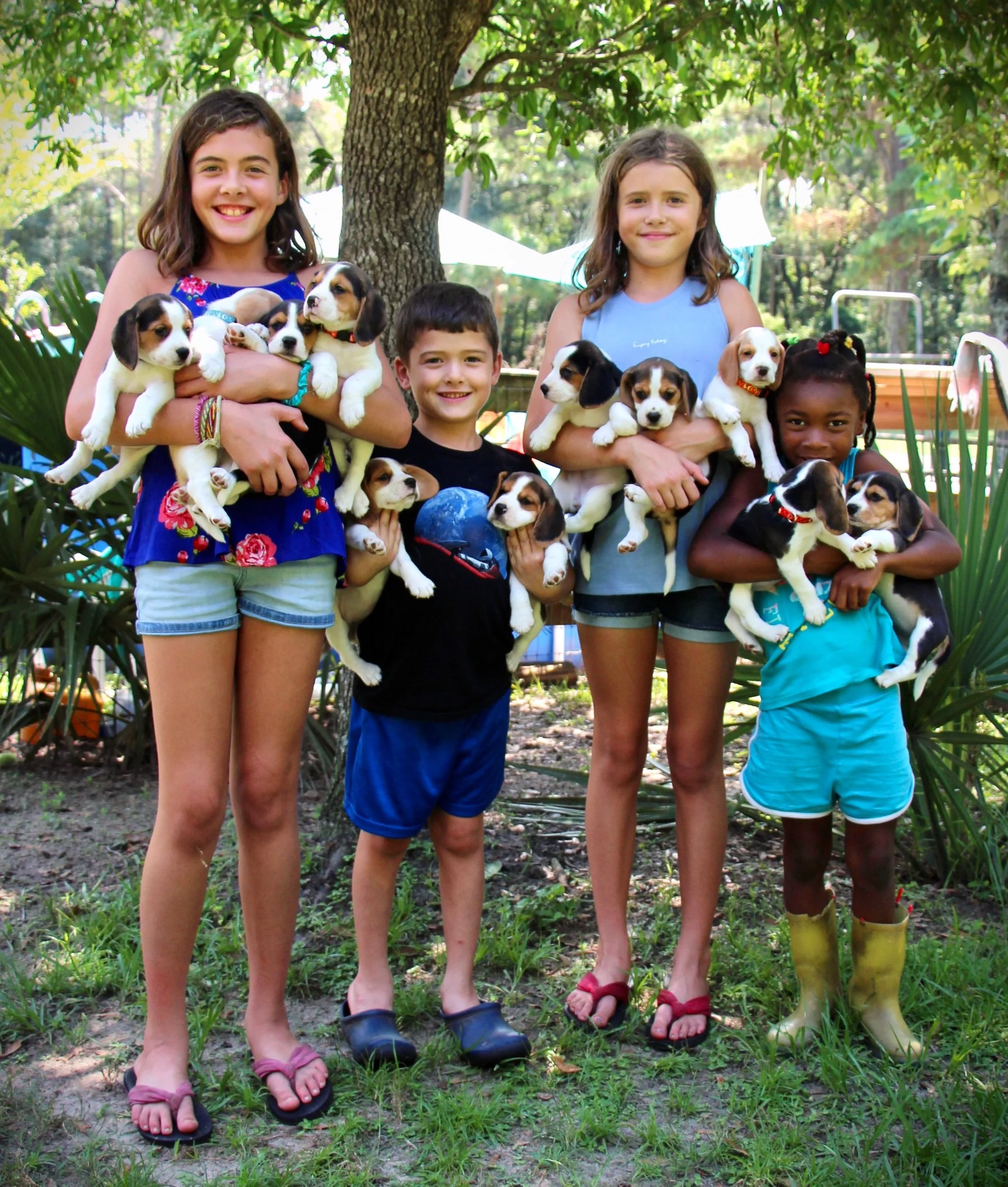 Better late than never!