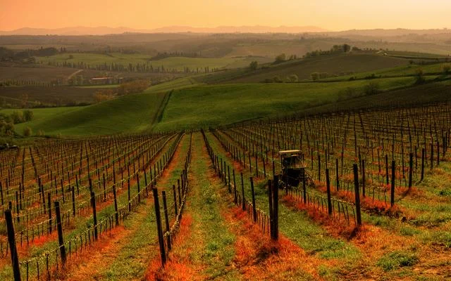 Chianti and Chianti Classico...NOT the same thing.