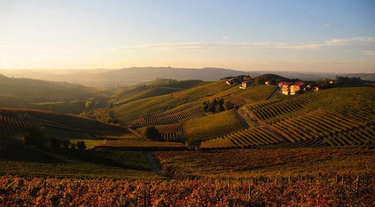 barbaresco.jpg
