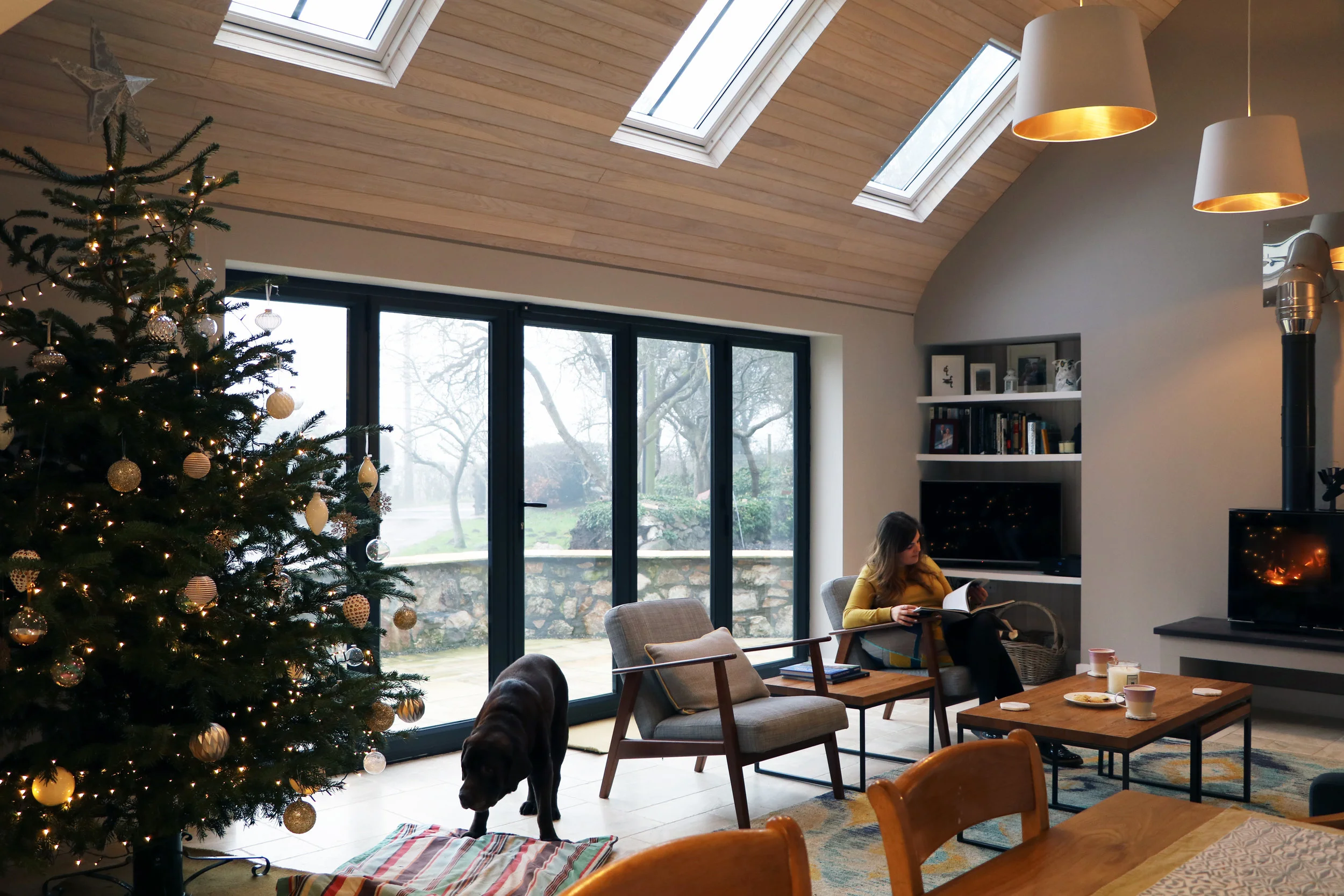 pmo-architects-architect-nannerch-coed-y-brain-paterson-macaulay-&-owens.jpg