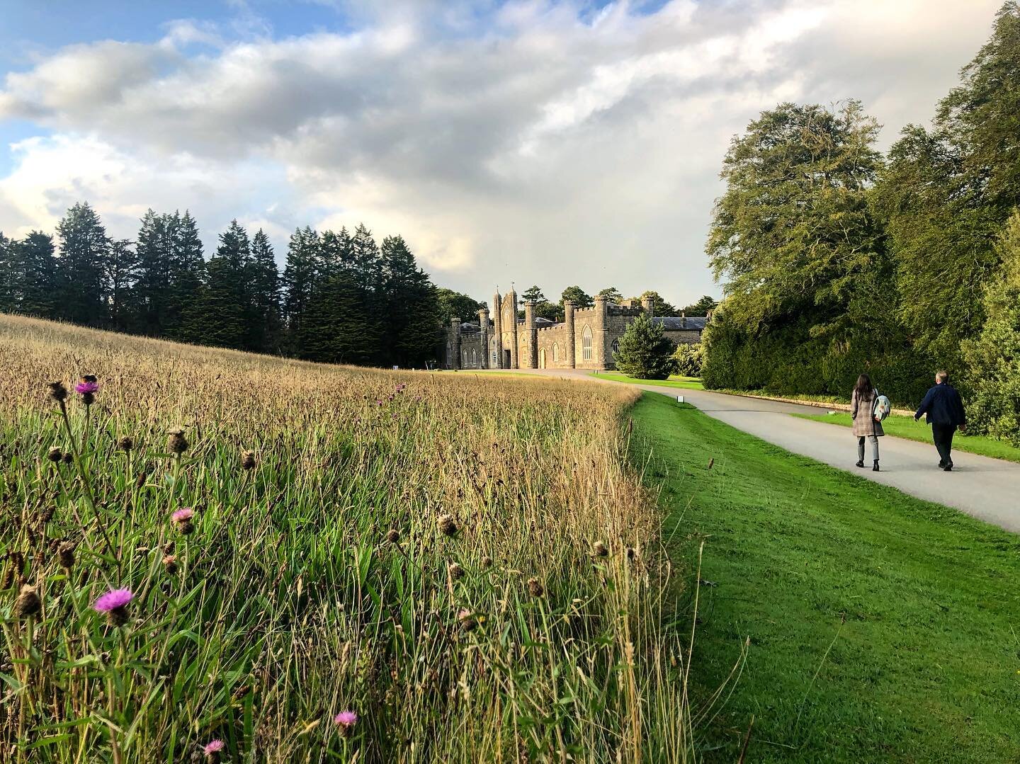 Lovely spot for an evening survey earlier this week @ntplasnewydd #workperk #nationaltrust #heritage #survey #architecture #engineering #anglesey #ynysmon