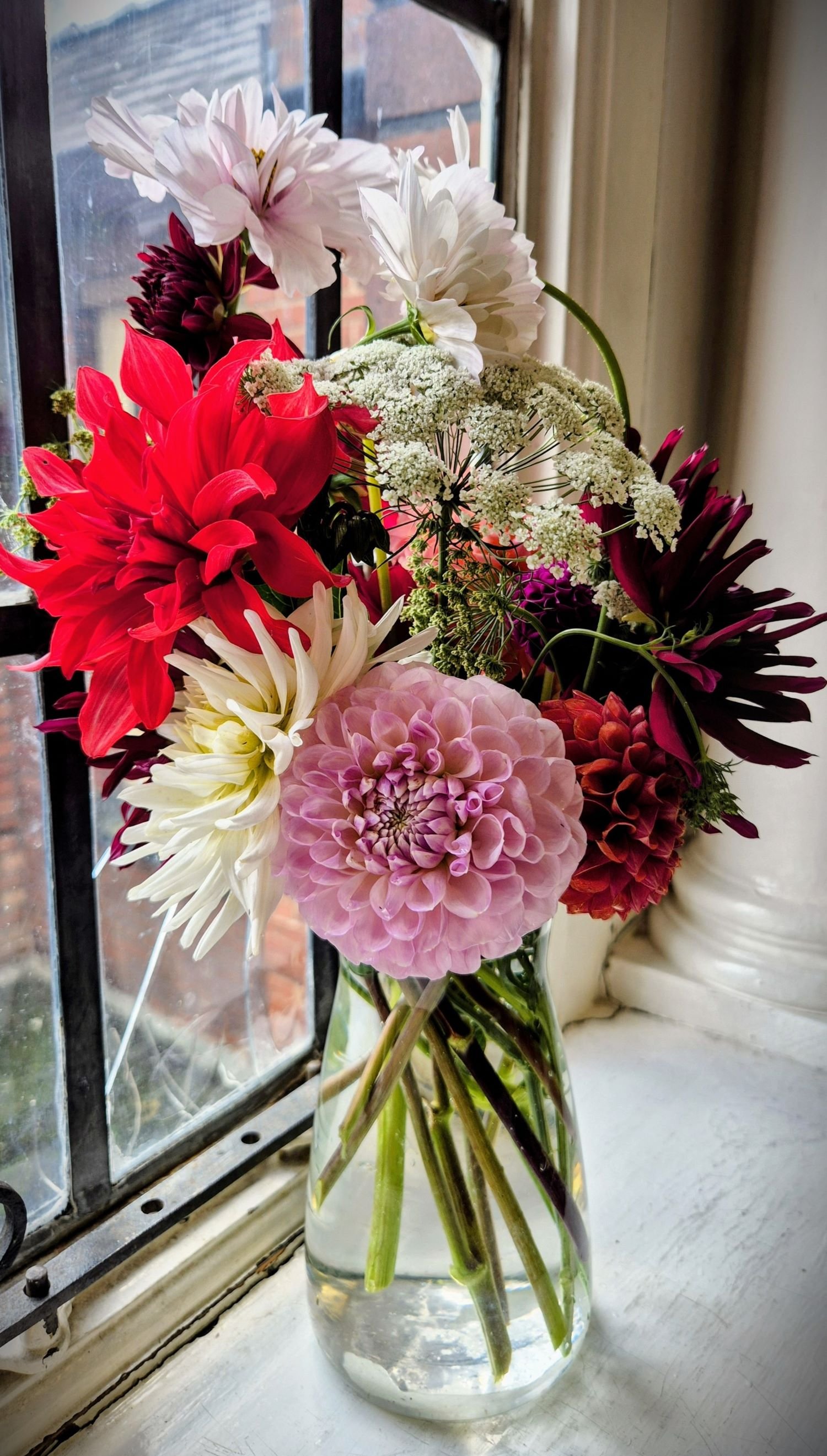 Office flowers at PMO Architects, Mold, Flintshire