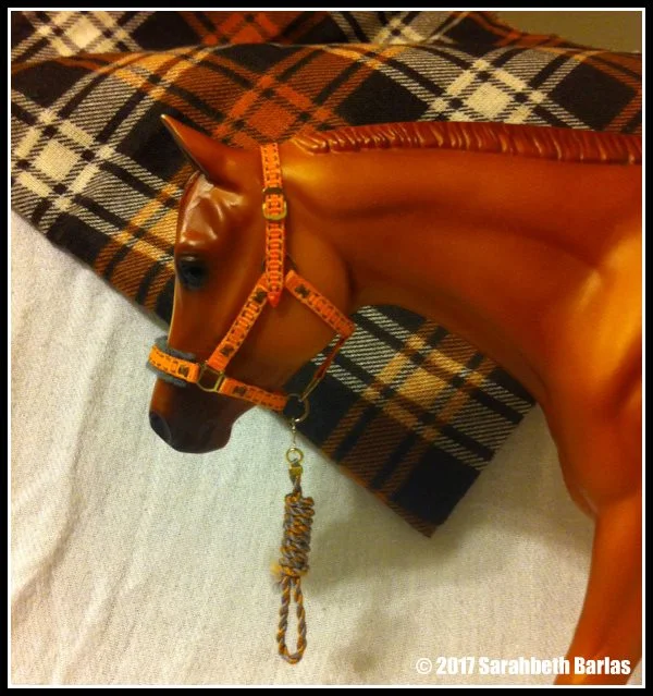 Halter and photo by Sarahbeth Barlas.