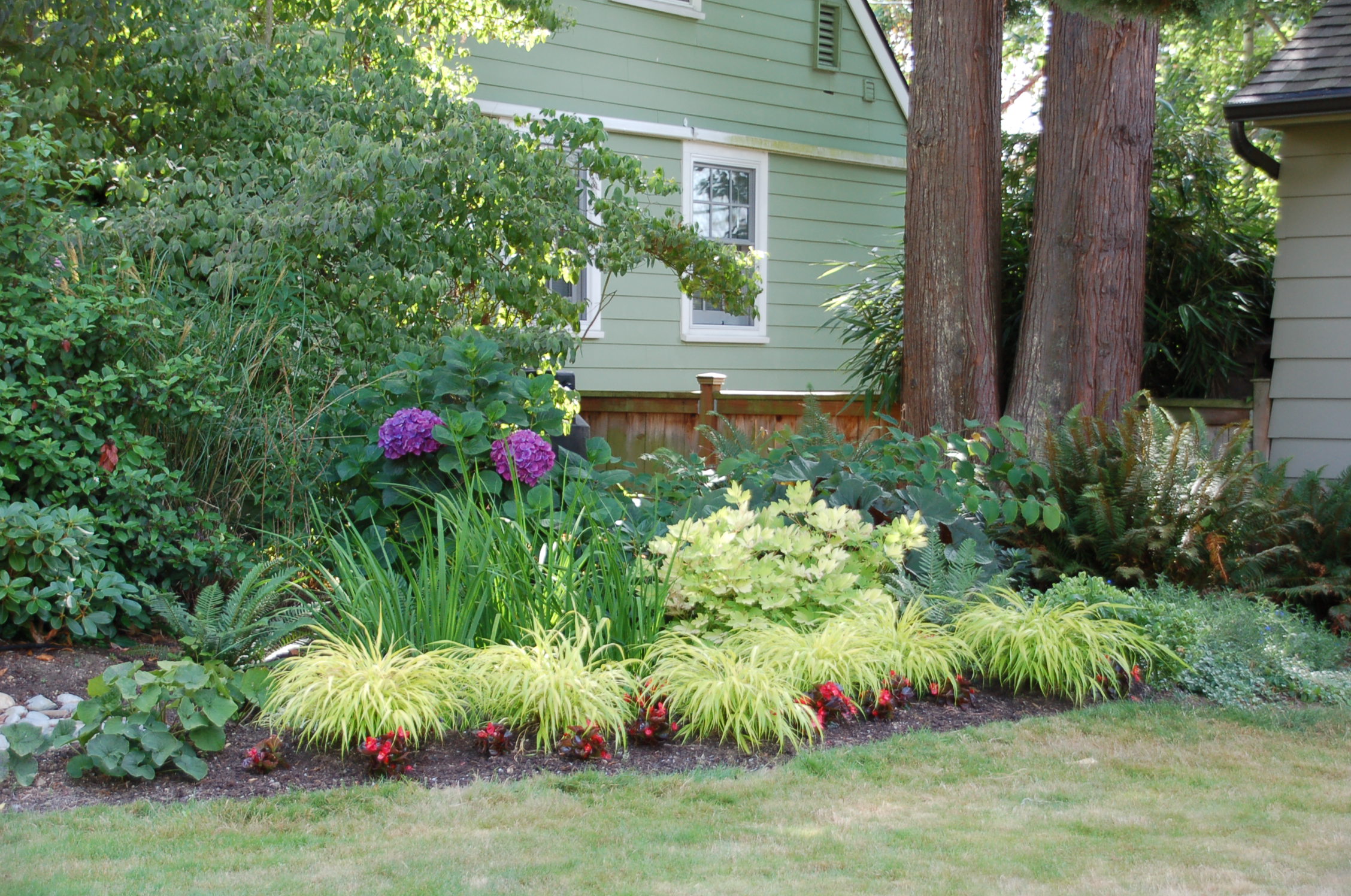 RAIN GARDEN & WILDLIFE HABITAT