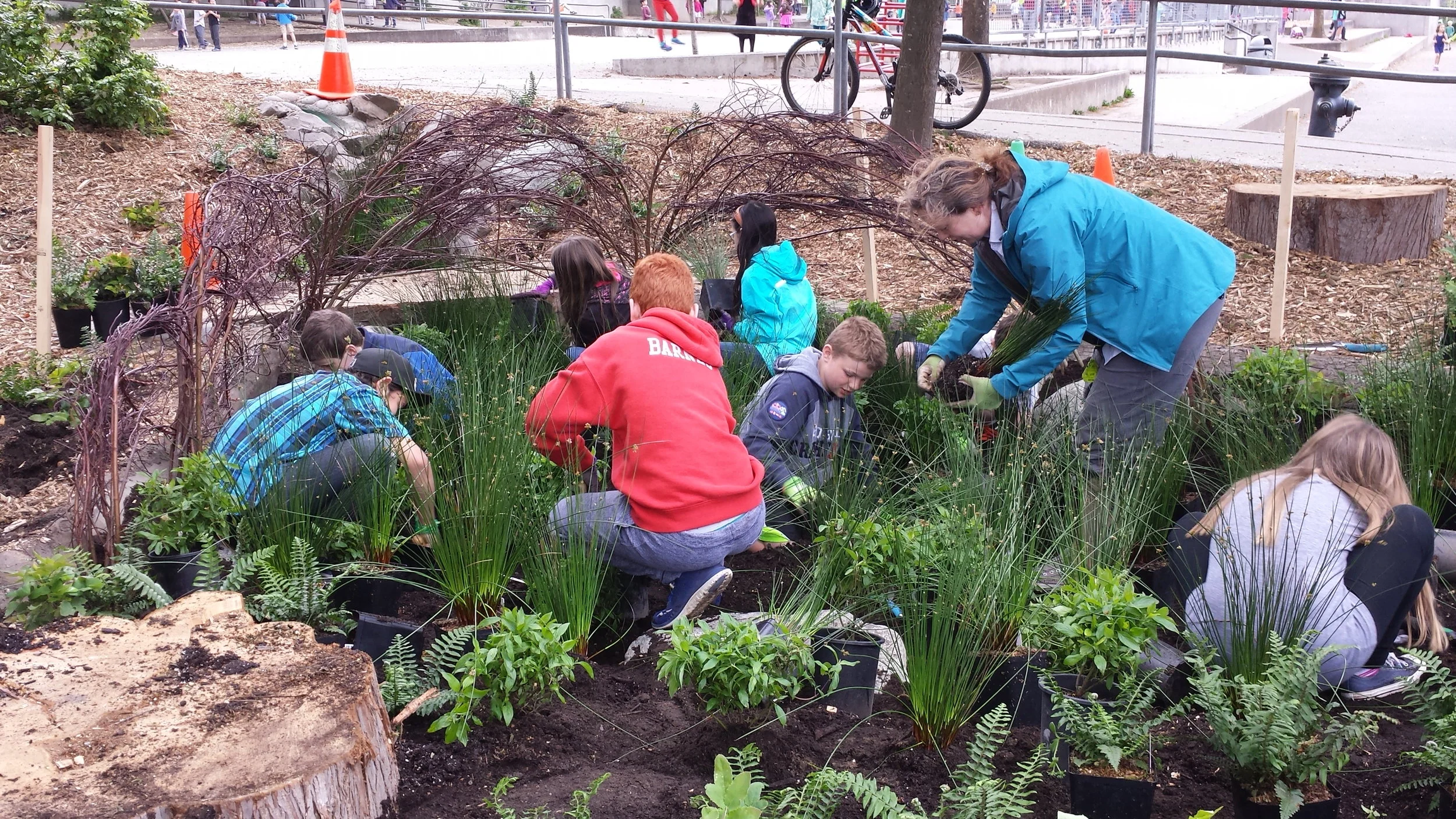 Groundswell NW July News