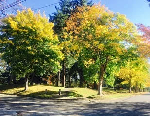 Salmon Bay Park Stewards Kick-Off Meeting