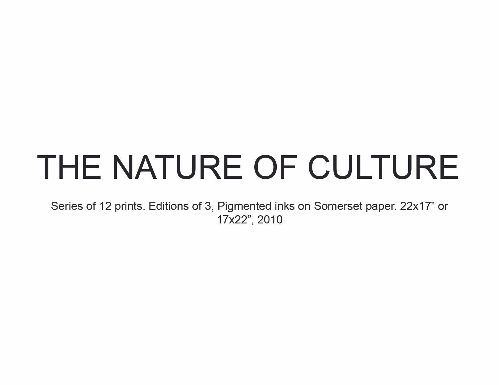04 Nature of Culture.jpg